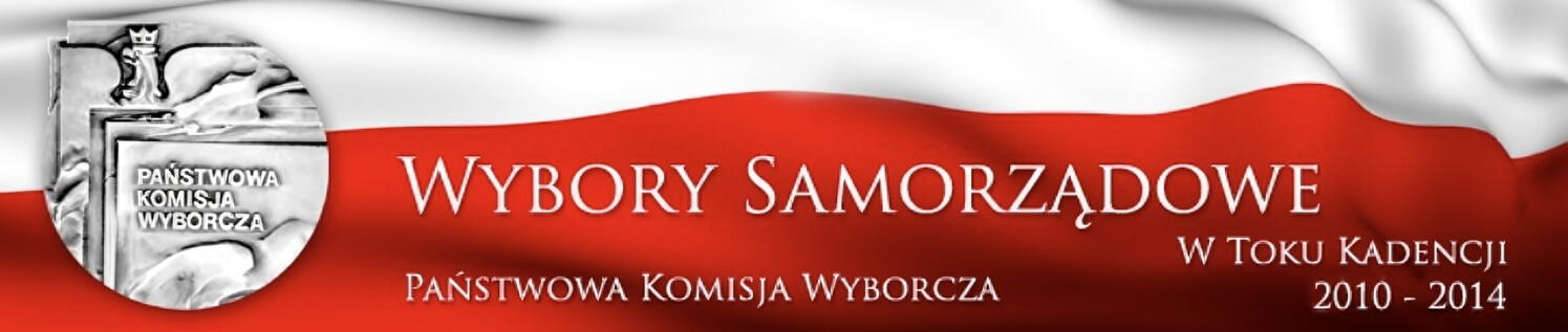 Wybory samorządowe w toku kadencji 2010 - 2014