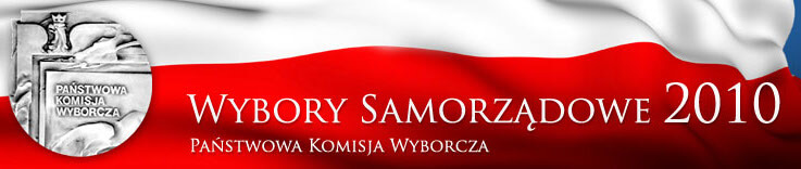 Baner wyborów Samorządowych 2010 r.